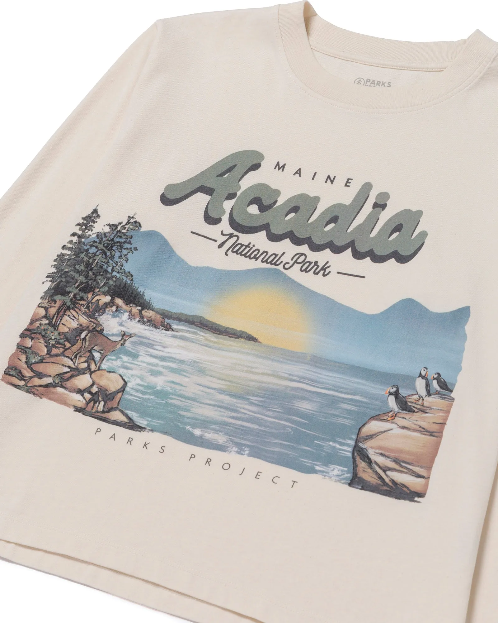 Acadia National Park Vintage Boxy Long Sleeve Tee